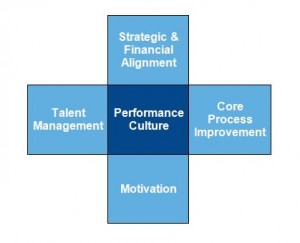 Performance culture diagram cultural maturity A Case of Cultural Maturity Performance Culture 300x243
